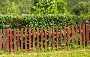 Idei de Garduri care îmbină funcționalitatea cu estetica